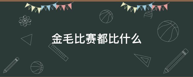 赛级金毛和普通金毛的区别 金毛比赛都比什么