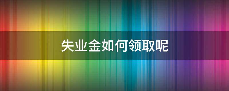 请问一下失业金怎么领取 失业金如何领取呢