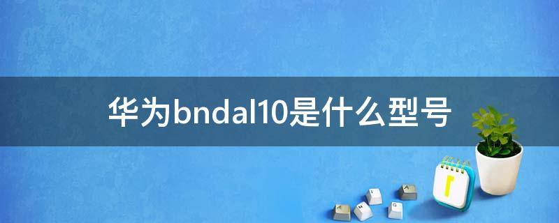 bndal10华为是什么型号多少钱 华为bndal10是什么型号