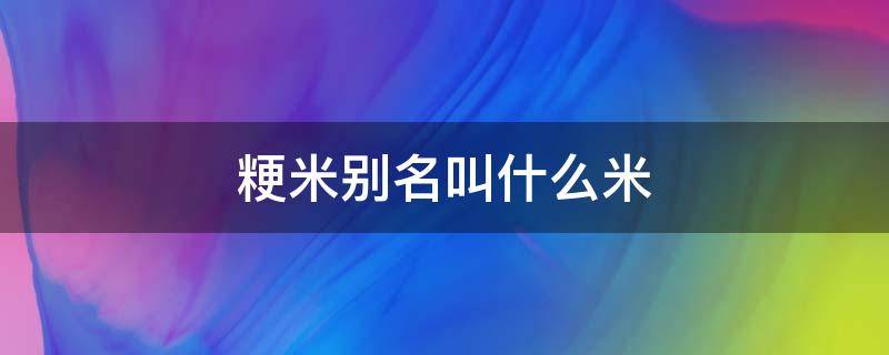 粳米的别称 粳米别名叫什么米