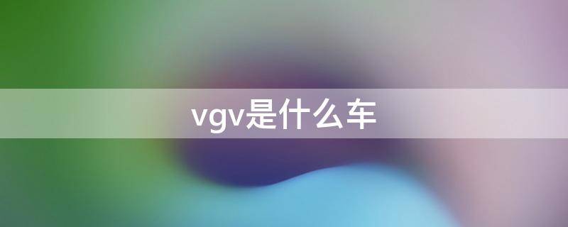 vgv是什么车的标志 vgv是什么车