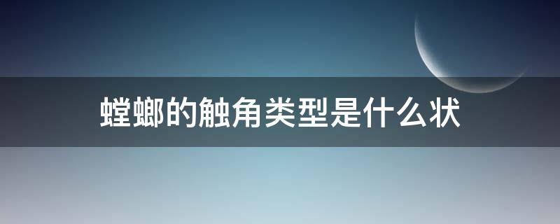 螳螂的触角类型是什么状 螳螂的触角是什么类型的