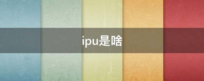 ipu是什么 ipu是啥