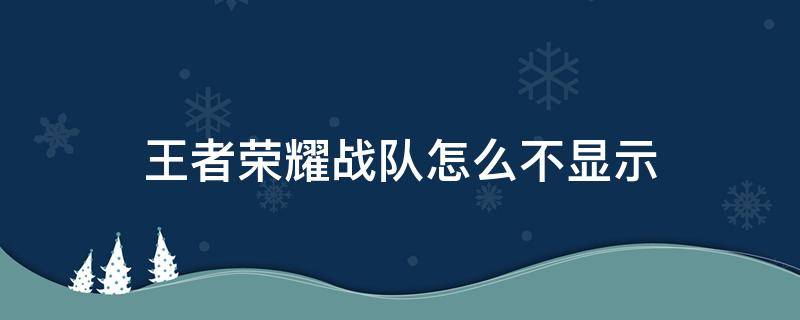 王者荣耀战队怎么不显示 王者荣耀战队怎么不显示称号