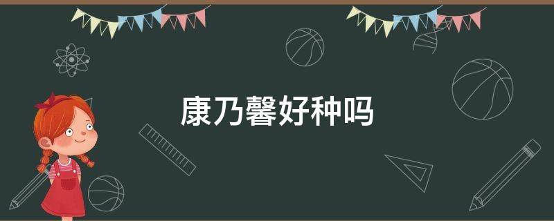 康乃馨好种吗（康乃馨好种吗?一年四季开花吗）