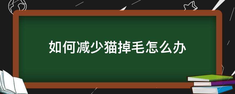 怎么样减少猫掉毛 如何减少猫掉毛怎么办