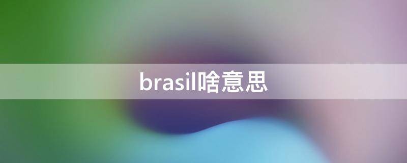 brasil啥意思 brasil的中文意思