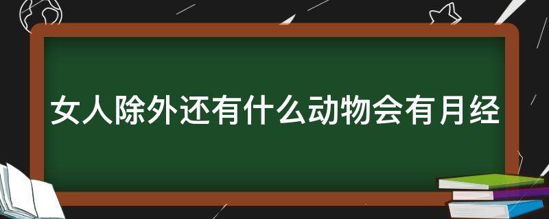 女人除外还有什么动物会有月经