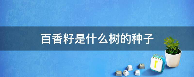 百香籽是什么树的种子图 百香籽是什么树的种子