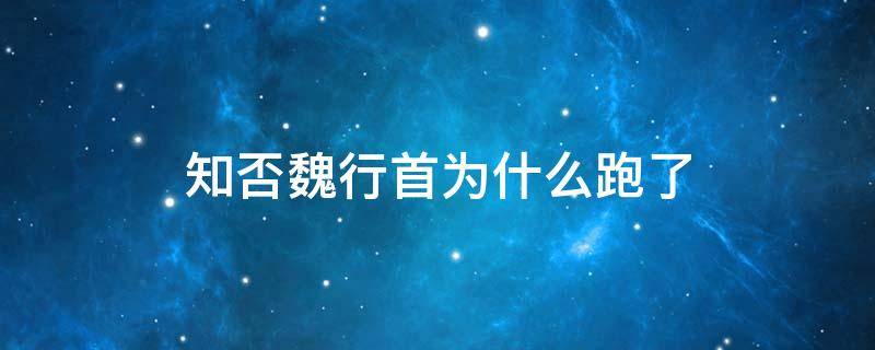 知否魏行首为什么跑了（知否魏行首最后为什么跑了）