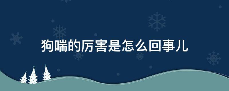 狗喘的厉害是怎么回事儿（狗喘的厉害是怎么回事儿?）