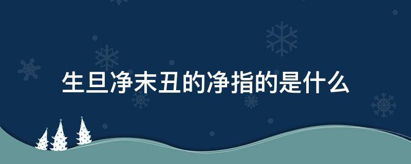 生旦净末丑的净指的是什么 生旦净末丑的净指的是什么人