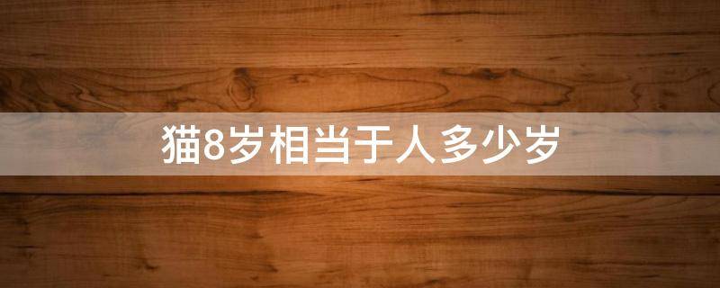 猫8岁相当于人多少岁 猫咪相当于人多少岁