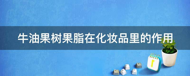 牛油果树果脂在化妆品里的作用 熊果苷和烟酰胺哪个祛斑效果好