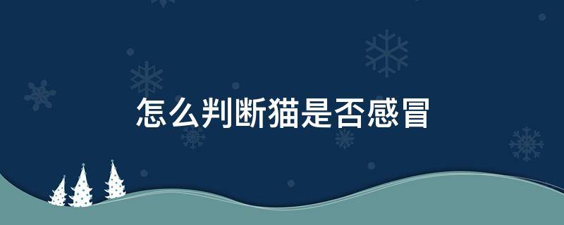 怎么判断猫是否感冒 怎么判断猫是否感冒发烧