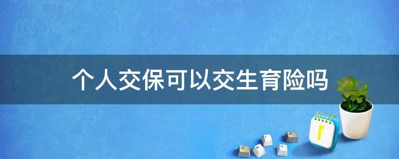 个人交保险有生育保险吗 个人交保可以交生育险吗