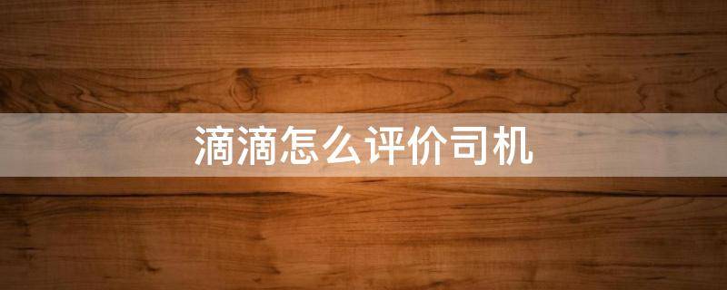 滴滴怎么评价司机文字 滴滴怎么评价司机