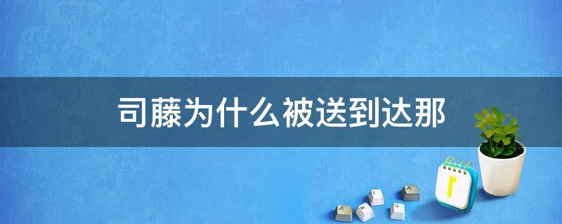 司藤为什么被送到达那 为什么将司藤送到达那