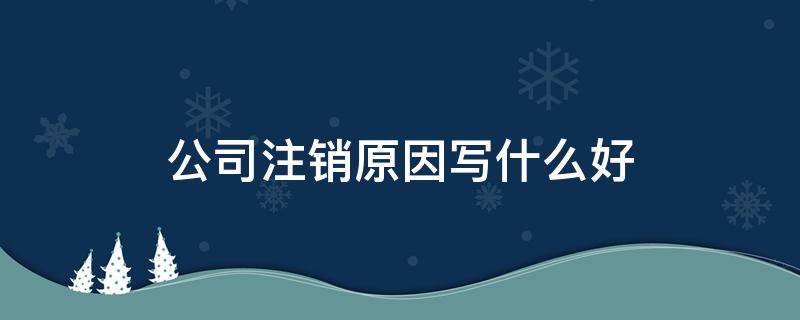 公司注销的原因一般要怎么写 公司注销原因写什么好