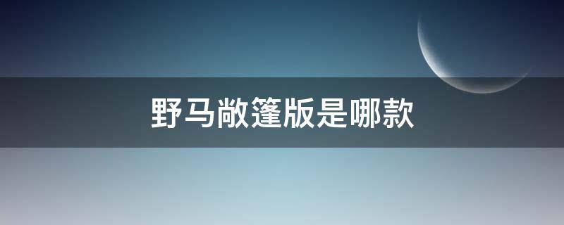 野马敞篷是哪一款 野马敞篷版是哪款