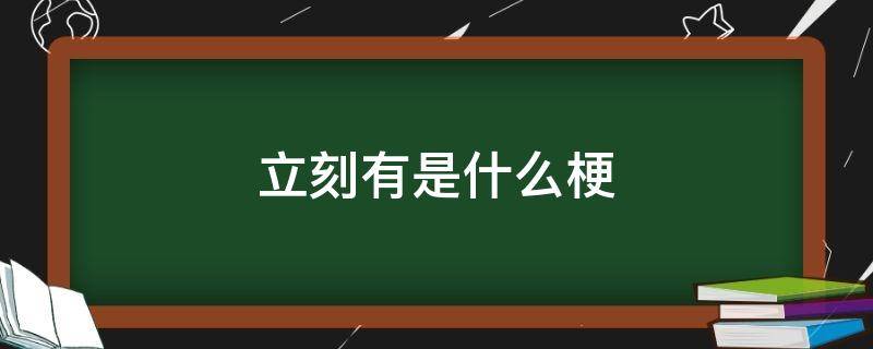 立刻有是什么梗 瞬间是什么梗