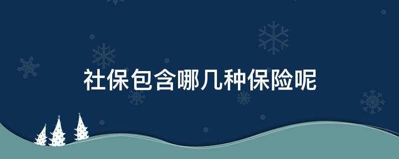 社保包含哪几种保险呢（社保包含了哪几种保险）