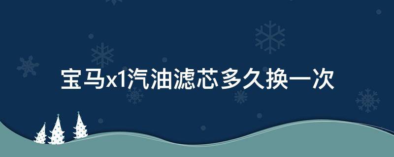 宝马x1汽油滤芯多久换一次 宝马x1更换汽油滤芯