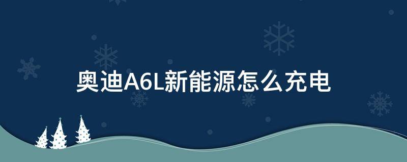 奥迪A6L新能源怎么充电 奥迪a6l新能源充电步骤