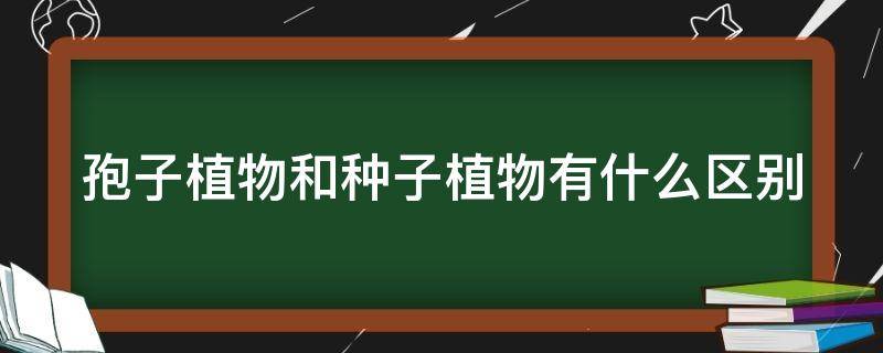 孢子植物和种子植物有什么区别 孢子植物和种子植物有什么区别?