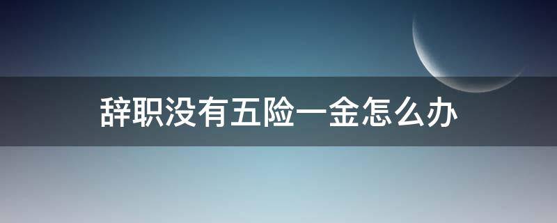 辞职没有五险一金怎么办 辞职后暂时没有工作五险一金怎么弄