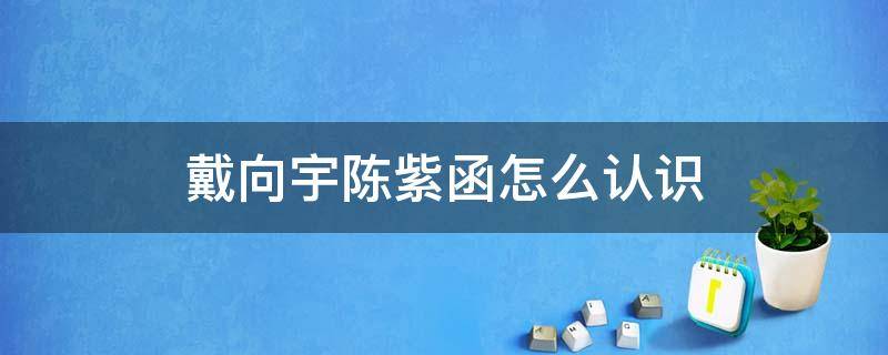 陈紫函和戴向宇是什么关系 戴向宇陈紫函怎么认识