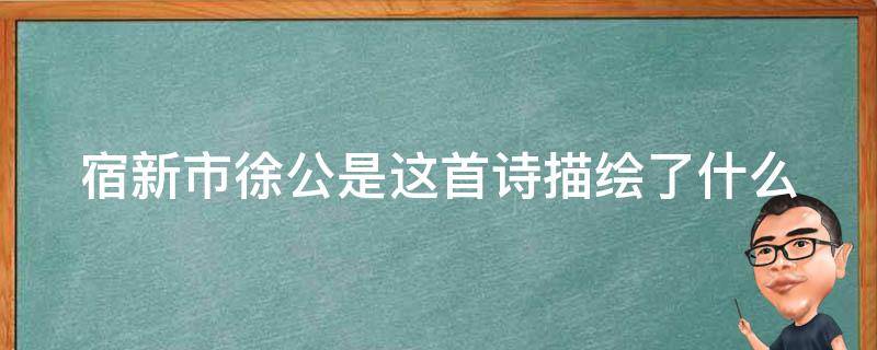 宿新市徐公是这首诗描绘了什么 宿新市徐公店这首诗描绘了什么表达了作者什么之情