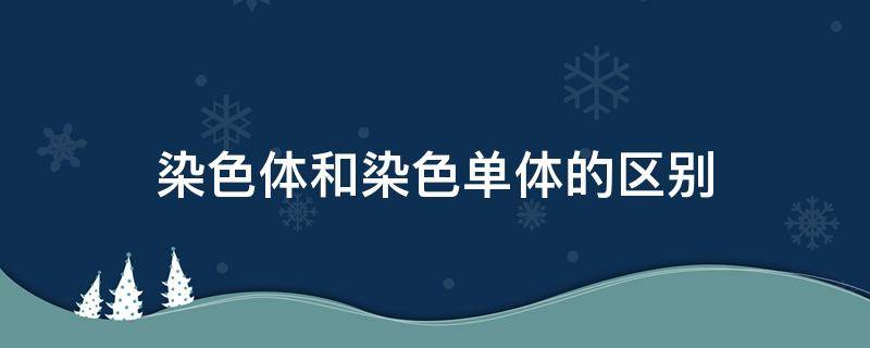 染色体和染色单体的区别 染色体和染色单体的区别高中