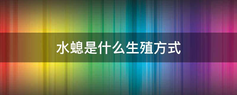 水螅的生殖方式是什么? 水螅是什么生殖方式