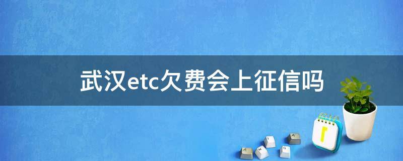 欠etc进征信 武汉etc欠费会上征信吗