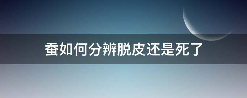 蚕脱皮时会死吗 蚕如何分辨脱皮还是死了