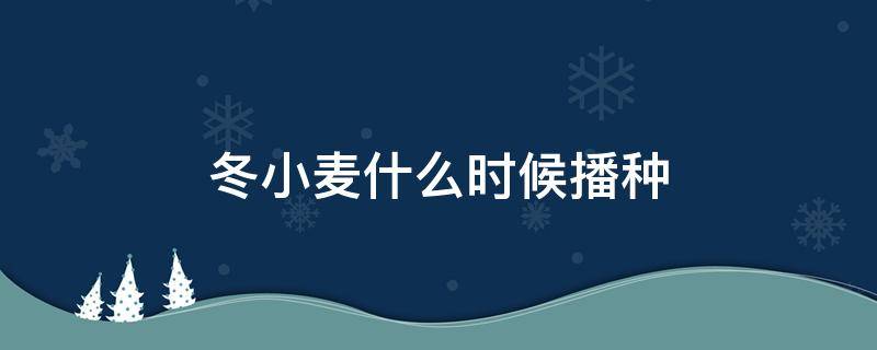 新疆冬小麦什么时候播种 冬小麦什么时候播种