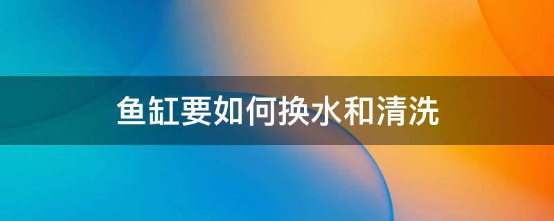 鱼缸要如何换水和清洗 鱼缸彻底换水的正确方法