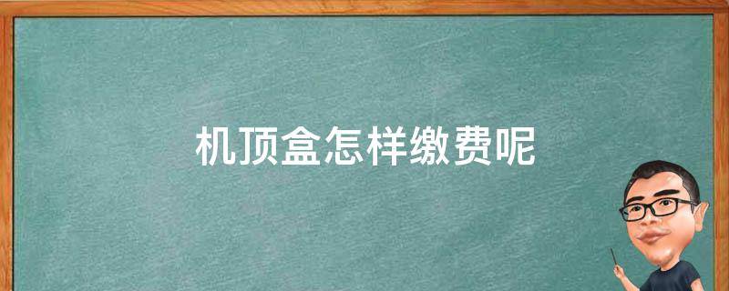 机顶盒怎么缴费? 机顶盒怎样缴费呢