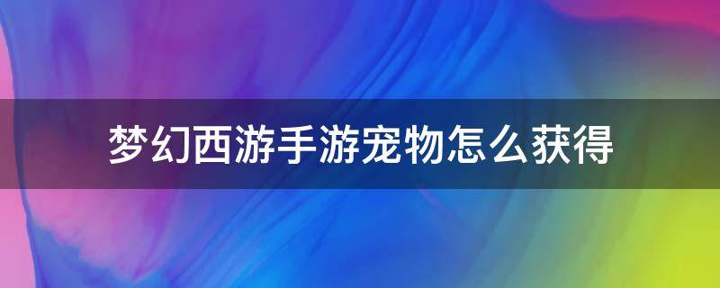 梦幻西游手游宠物怎么获得 梦幻西游手游宠物怎么获得多技能