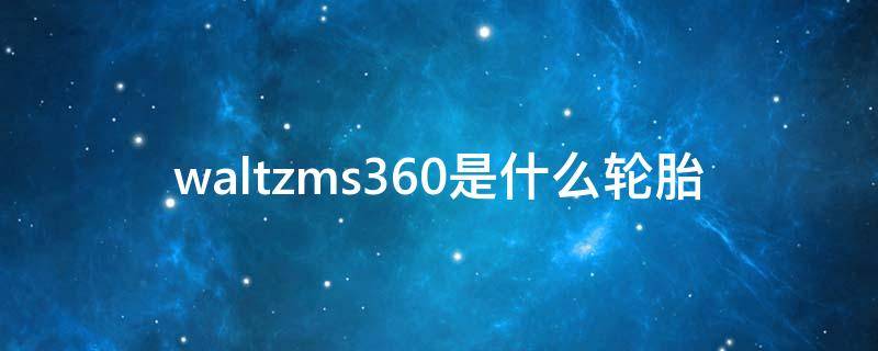 轮胎waltz是什么意思 waltzms360是什么轮胎