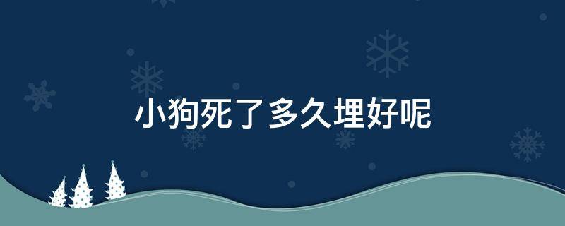 小狗死了多久埋好呢 小狗死了用埋吗