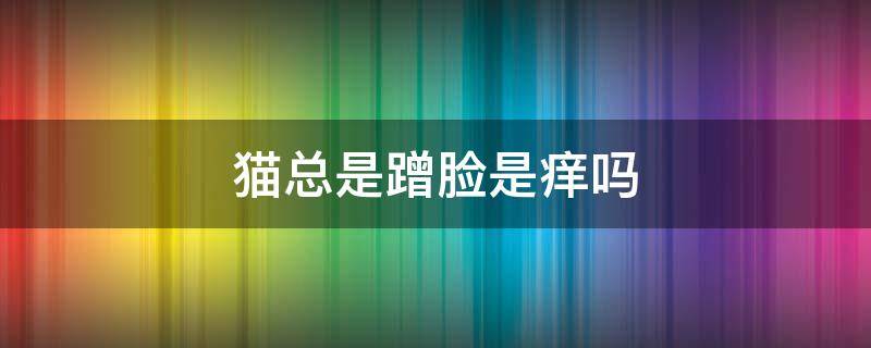 猫总是蹭脸是痒吗 猫在脸上蹭来蹭去的脸痒