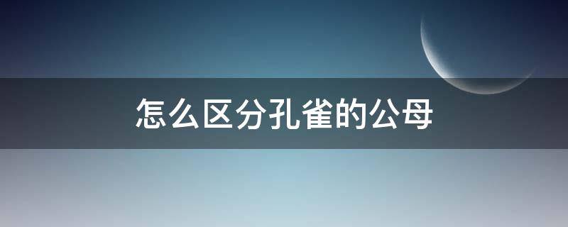 怎么区分孔雀的公母 孔雀怎么区分公的母的