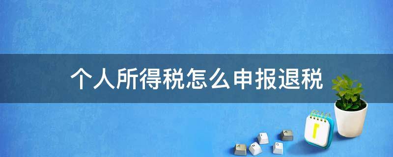 个人所得税怎么申报退税多久到账 个人所得税怎么申报退税