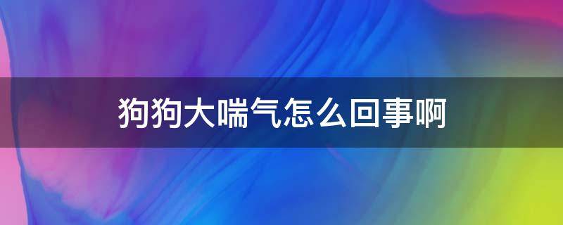 狗狗大喘气怎么回事啊 狗狗大喘气是怎么了