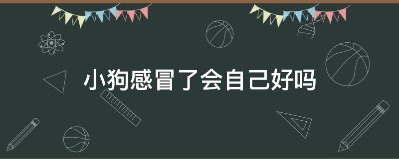 小狗感冒了会自己好吗 狗狗感冒会自己好嘛