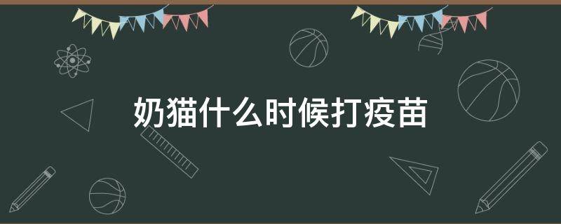 奶猫什么时候打疫苗 奶猫什么时候打狂犬疫苗