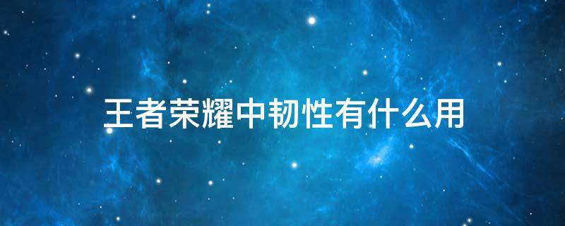 王者里面的韧性有什么用 王者荣耀中韧性有什么用