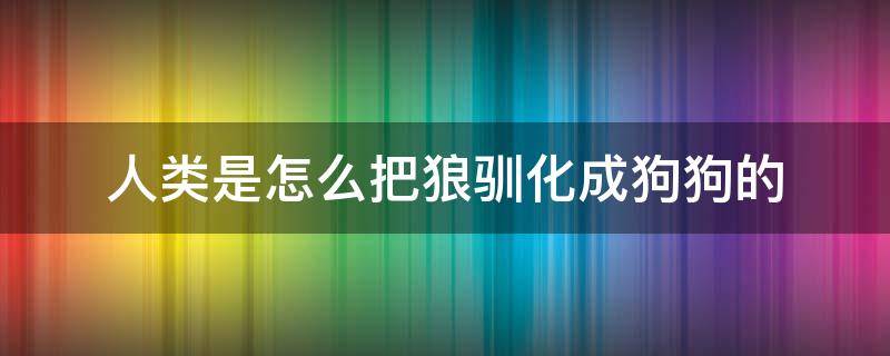 人类是怎么把狼驯化成狗狗的 人类是怎样把狼驯化成狗狗的